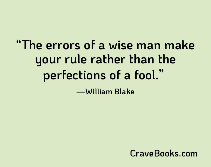 The errors of a wise man make your rule rather than the perfections of a fool.