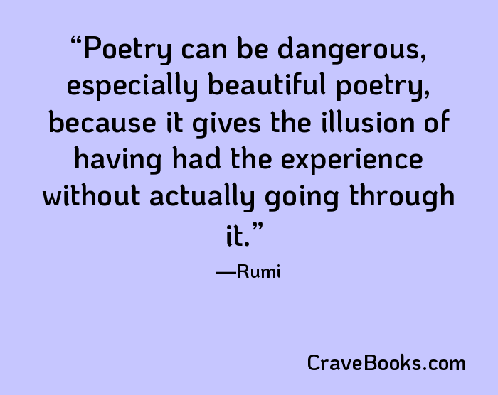Poetry can be dangerous, especially beautiful poetry, because it gives the illusion of having had the experience without actually going through it.