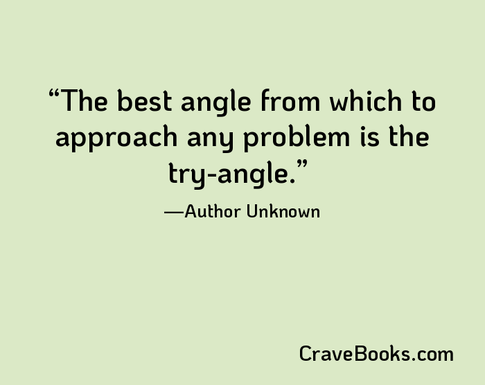 The best angle from which to approach any problem is the try-angle.