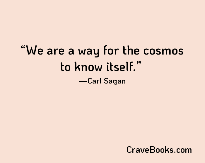 We are a way for the cosmos to know itself.