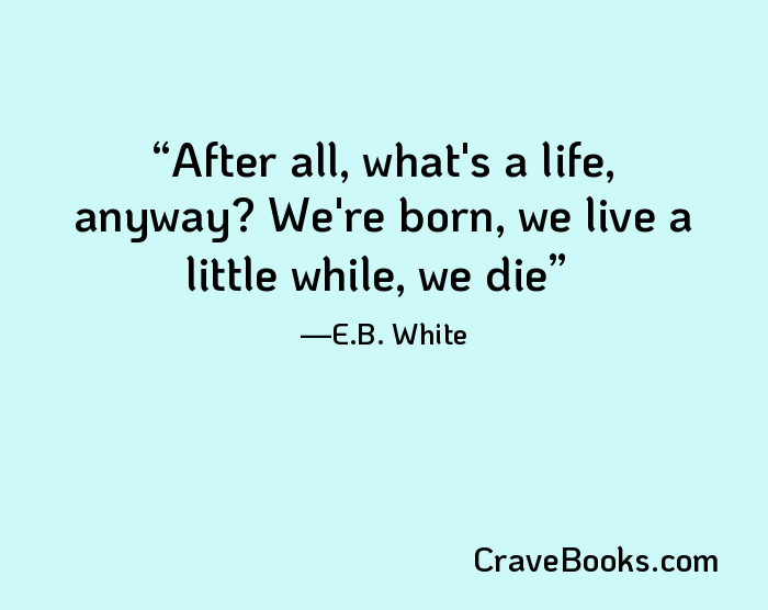 After all, what's a life, anyway? We're born, we live a little while, we die