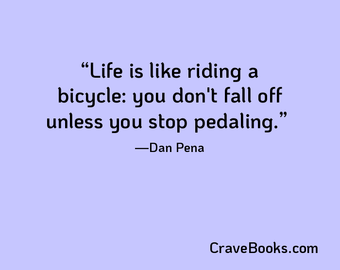 Life is like riding a bicycle: you don't fall off unless you stop pedaling.