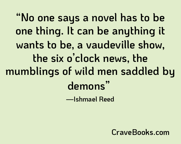 No one says a novel has to be one thing. It can be anything it wants to be, a vaudeville show, the six o’clock news, the mumblings of wild men saddled by demons