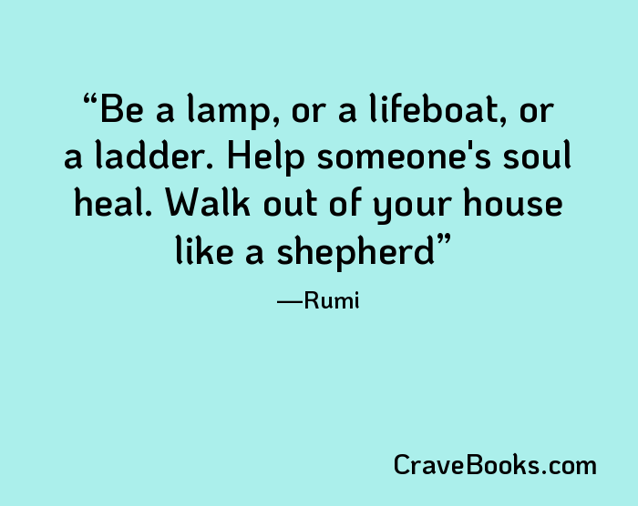 Be a lamp, or a lifeboat, or a ladder. Help someone's soul heal. Walk out of your house like a shepherd
