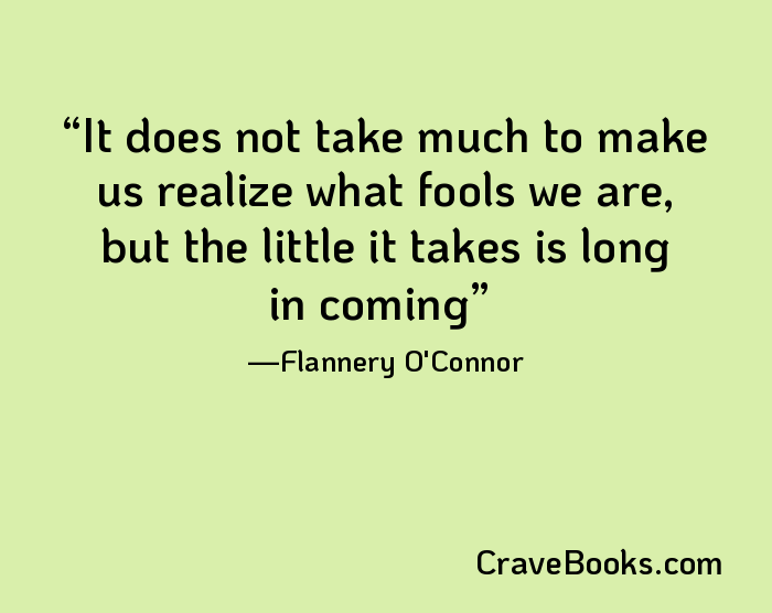 It does not take much to make us realize what fools we are, but the little it takes is long in coming