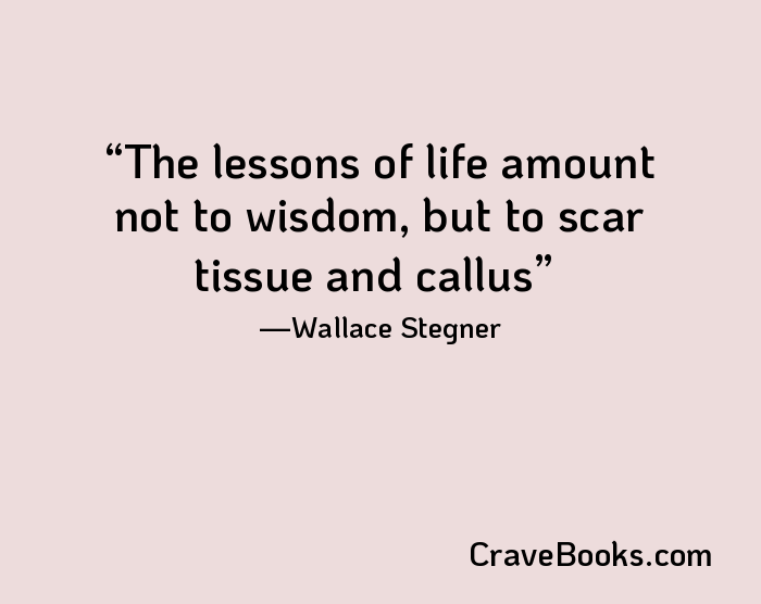 The lessons of life amount not to wisdom, but to scar tissue and callus