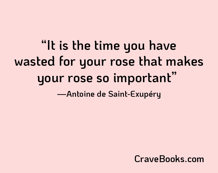 It is the time you have wasted for your rose that makes your rose so important