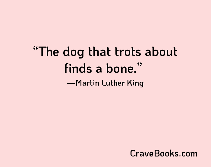 The dog that trots about finds a bone.