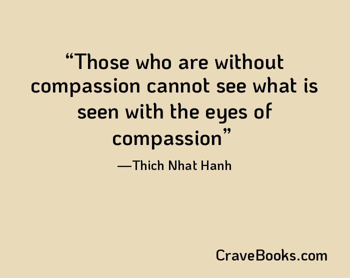 Those who are without compassion cannot see what is seen with the eyes of compassion
