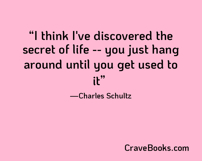 I think I've discovered the secret of life -- you just hang around until you get used to it