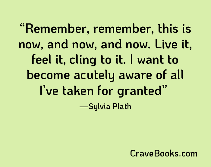 Remember, remember, this is now, and now, and now. Live it, feel it, cling to it. I want to become acutely aware of all I’ve taken for granted