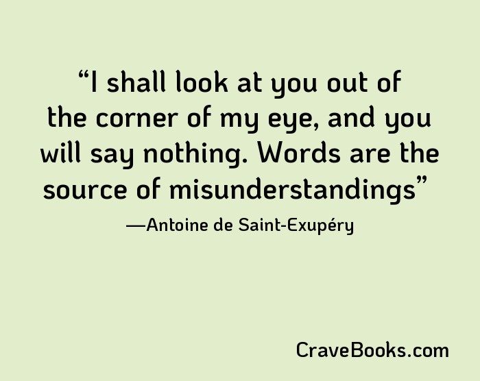 I shall look at you out of the corner of my eye, and you will say nothing. Words are the source of misunderstandings