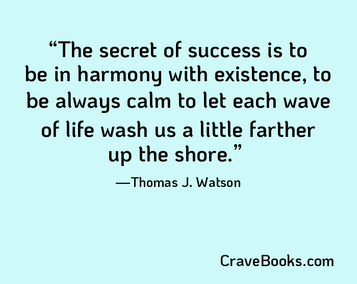The secret of success is to be in harmony with existence, to be always calm to let each wave of life wash us a little farther up the shore.