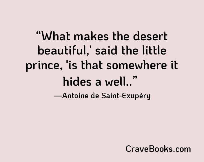 What makes the desert beautiful,' said the little prince, 'is that somewhere it hides a well..