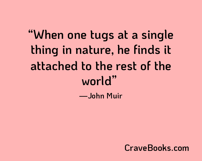 When one tugs at a single thing in nature, he finds it attached to the rest of the world