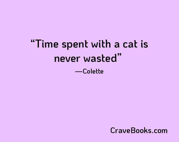 Time spent with a cat is never wasted