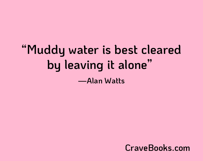 Muddy water is best cleared by leaving it alone